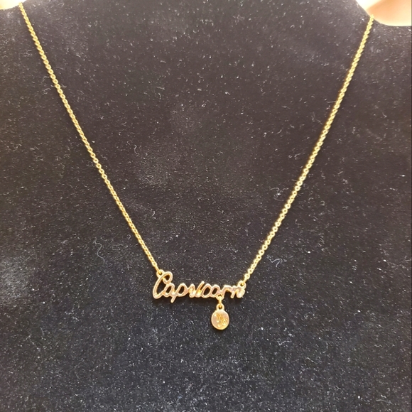 Capricorn Necklace (#2) - Picture 1 of 3